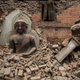 Illustration for article titled Photos from the devastating 7.8 magnitude earthquake in Nepal